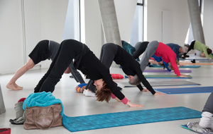 STAGE DE YOGA dimanche 29 Mars 2026