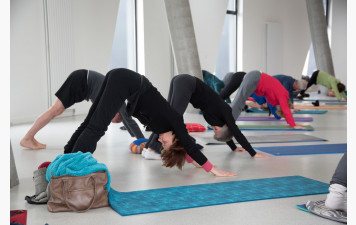 STAGE DE YOGA dimanche 29 Mars 2026