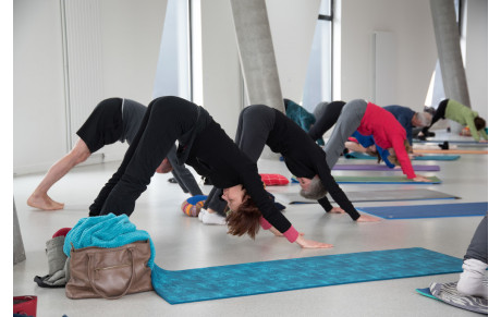 STAGE DE YOGA dimanche 29 Mars 2026