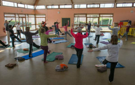 STAGE DE YOGA dimanche 15 juin 2025  &quot;Yoga et Ayurvéda&quot;. 